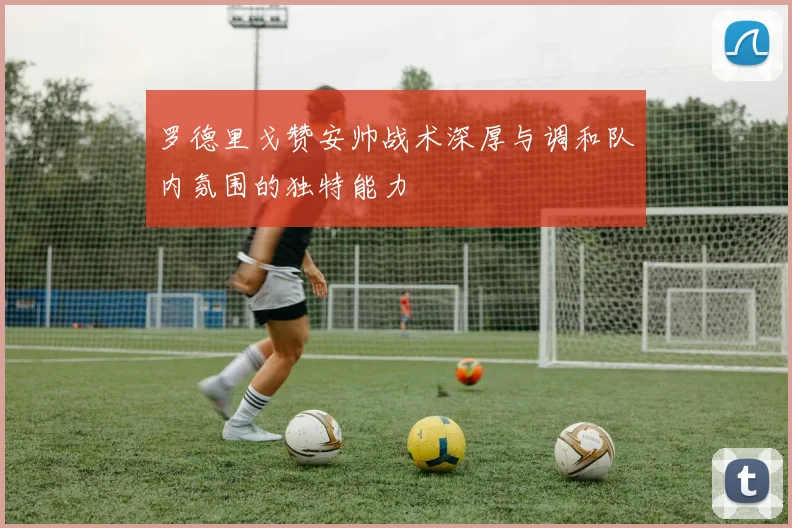 罗德里戈赞安帅战术深厚与调和队内氛围的独特能力