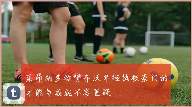 莱昂纳多称赞齐沃年轻执教豪门的才能与成就不容置疑