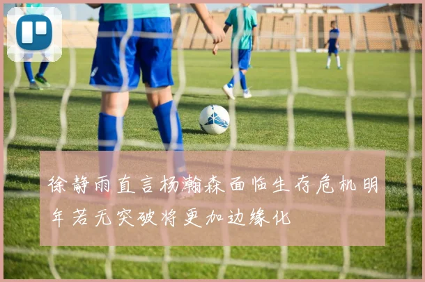 徐静雨直言杨瀚森面临生存危机明年若无突破将更加边缘化